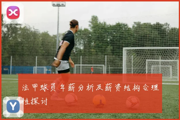 法甲球员年薪分析及薪资结构合理性探讨
