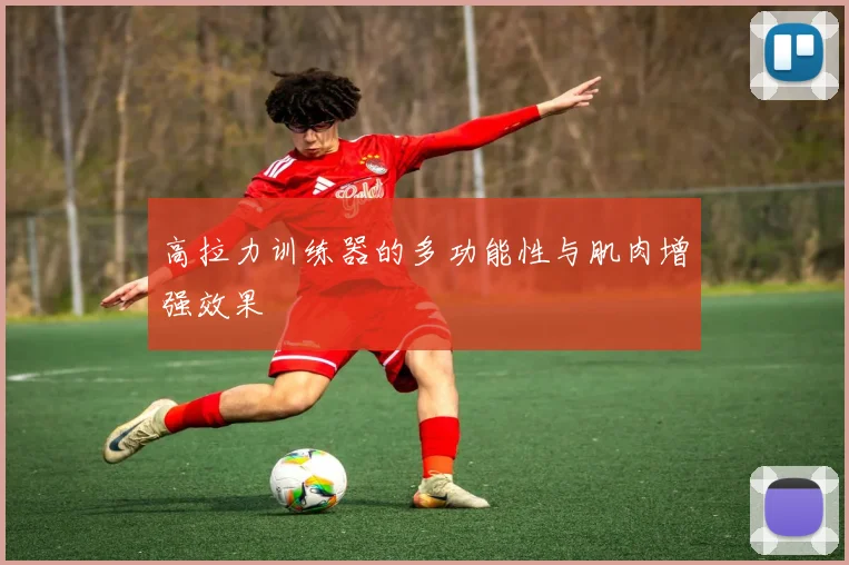 高拉力训练器的多功能性与肌肉增强效果