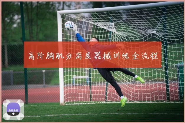 高阶胸肌分离度器械训练全流程